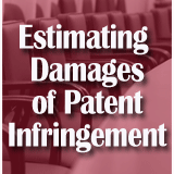 Estimating Damages of Patent Infringement